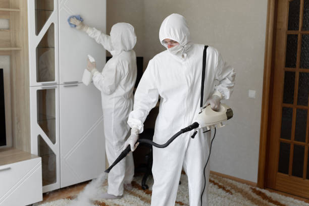 24/7 Emergency Blood Cleanup experts in New Athens, IL